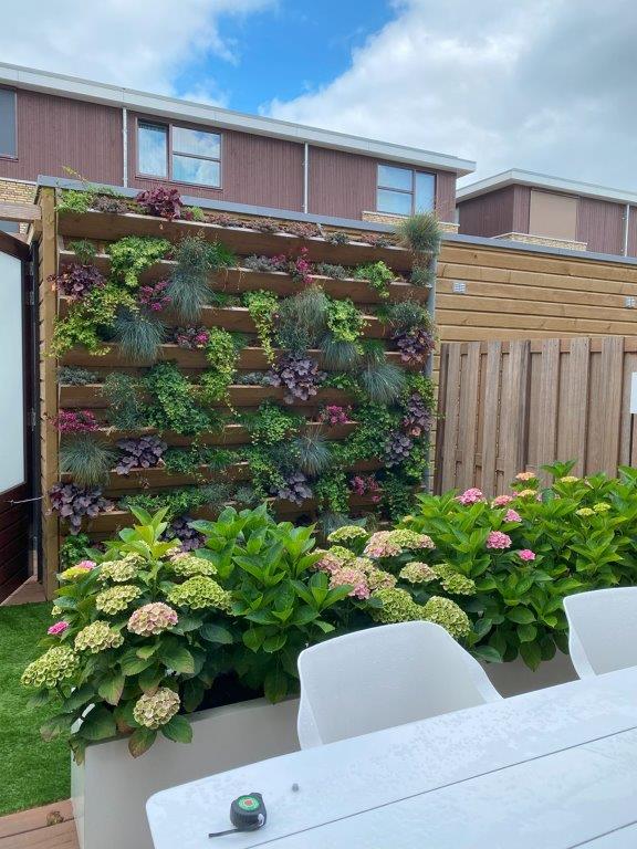 Verticale Tuin, Nieuwbouw in Reeuwijk